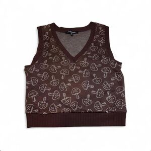 Mixed Threads Chocolate Brown V-Neck Sweater for Women